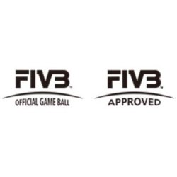 Mikasa V200W | Official Game Ball