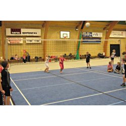Kidsvolley net