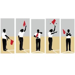 Mikasa Linjedommer Flag