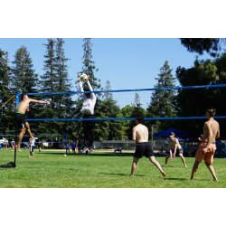 Beachvolleynet - Spectrum 2000