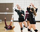 Alt i volleyball<br>